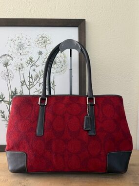 Red and Brown Leather &Woven Tote Bag